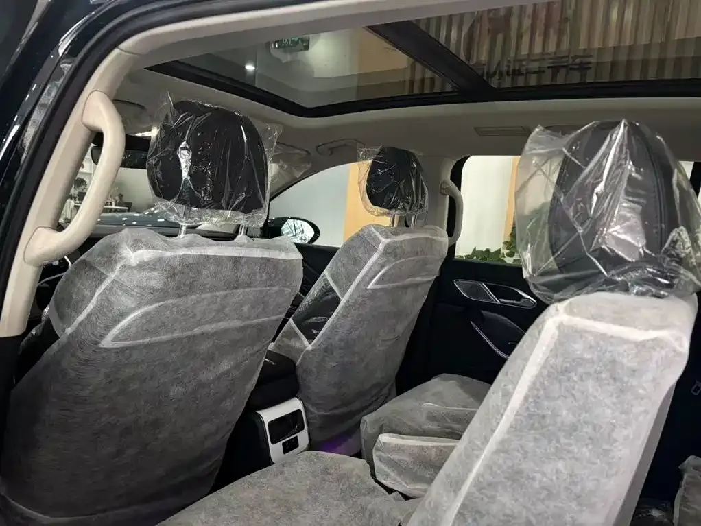 Hongqi HS7 PHEV 2025 из CN, фото 9