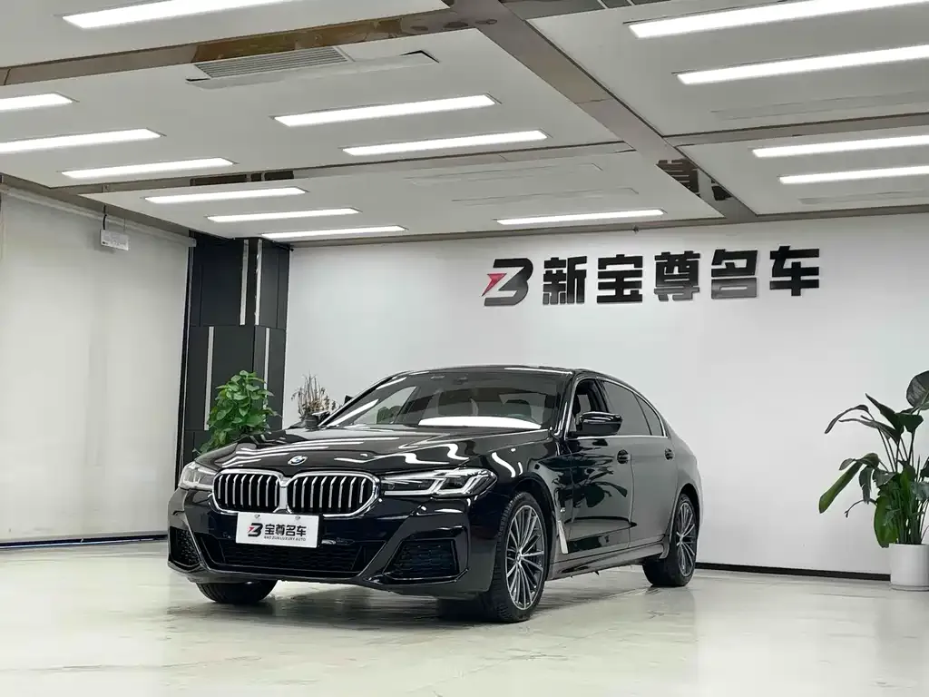 BMW 5 Series 2023 из CN, фото 1