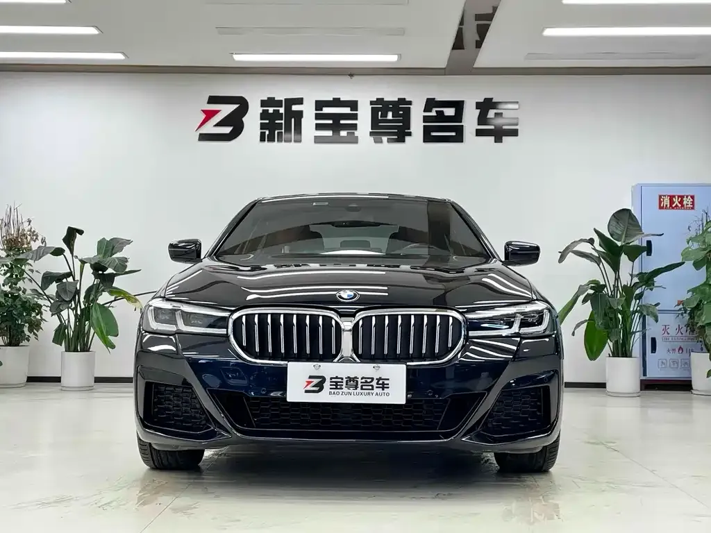 BMW 5 Series 2023 из CN, фото 2