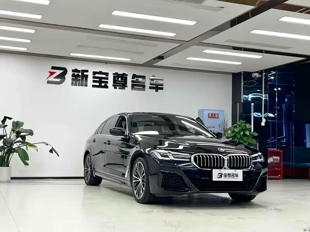 BMW 5 Series 2023 из CN, фото 3