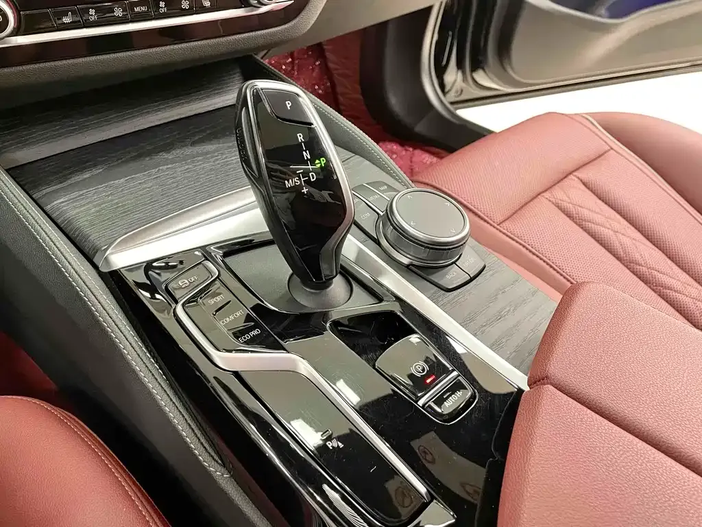 BMW 5 Series 2023 из CN, фото 8
