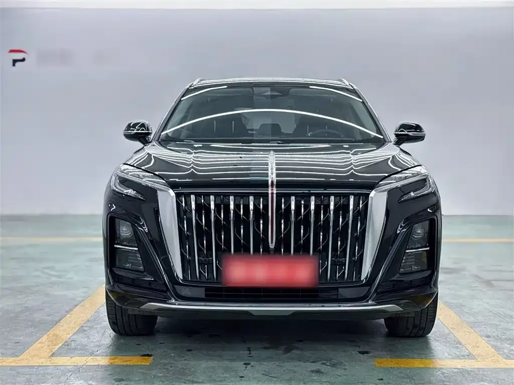 Hongqi HS3 2023 из CN, фото 8