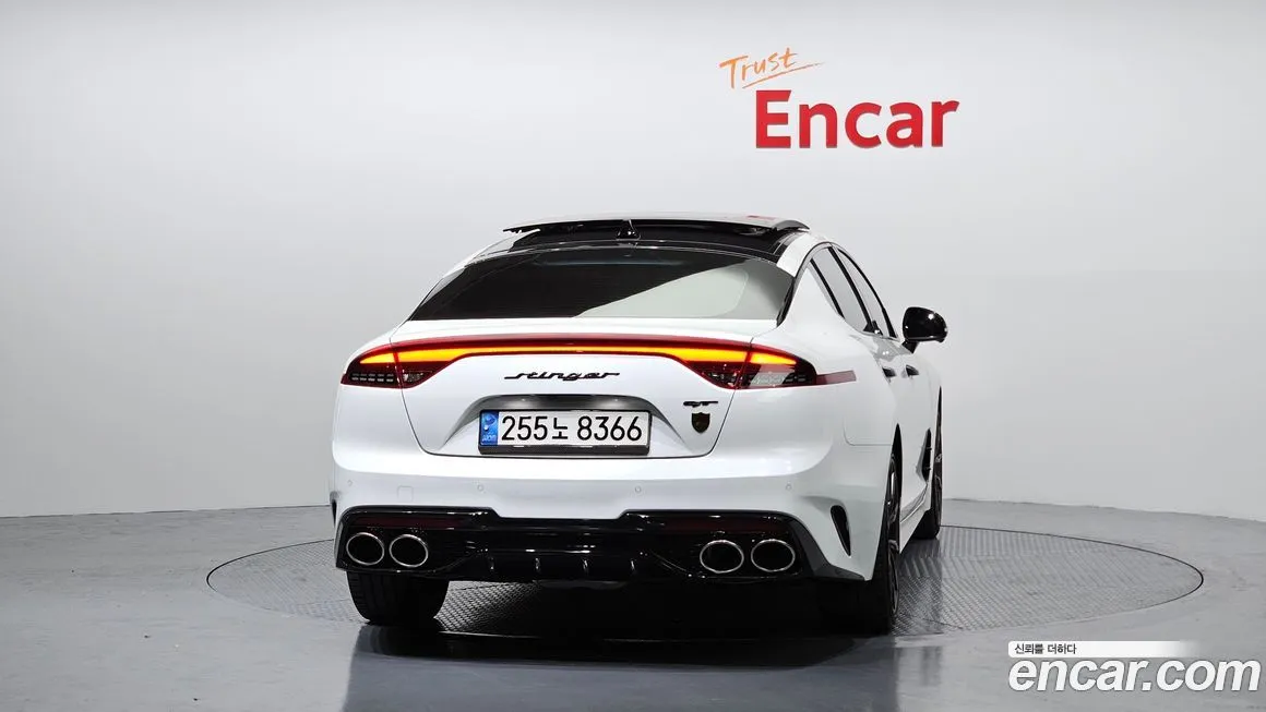 [object Object] Stinger 2023 из KR, фото 4