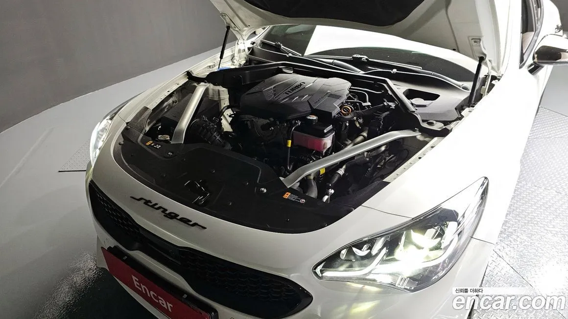 [object Object] Stinger 2023 из KR, фото 6