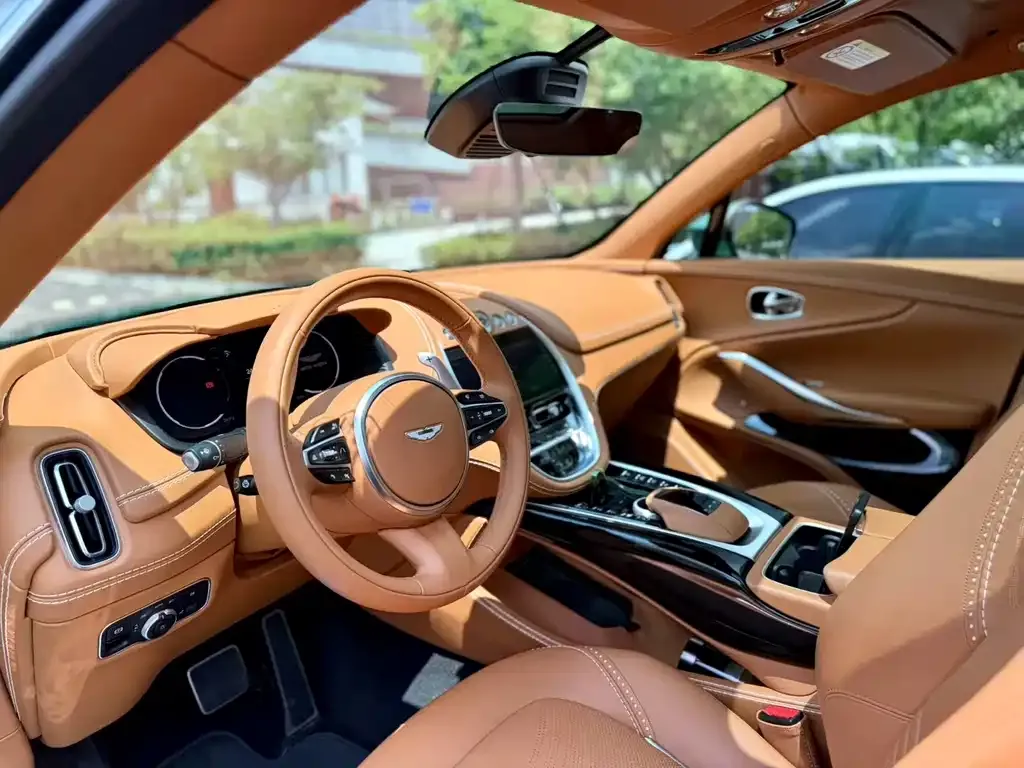 Aston Martin DBX 2022 из CN, фото 4