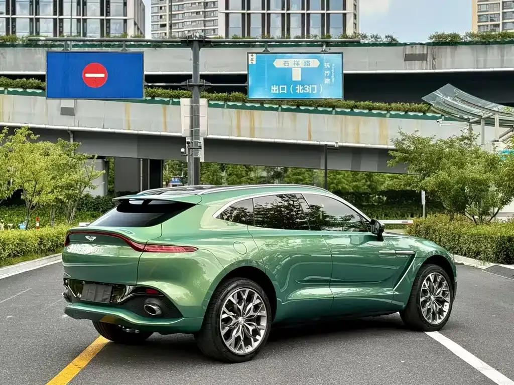Aston Martin DBX 2022 из CN, фото 7