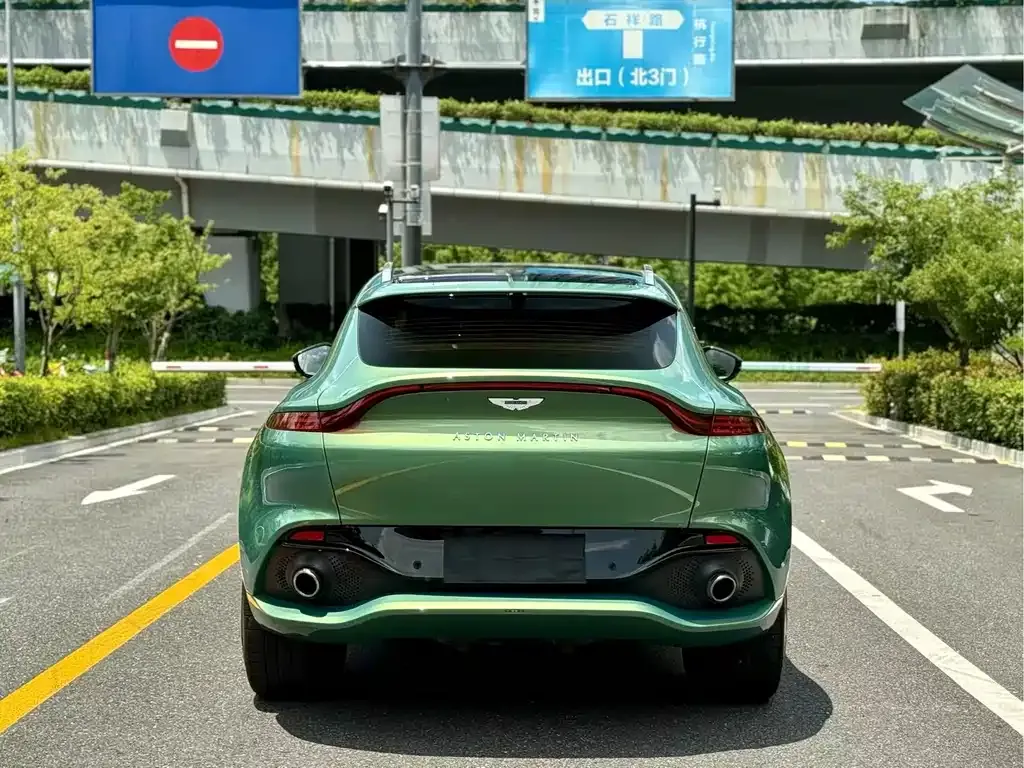 Aston Martin DBX 2022 из CN, фото 8