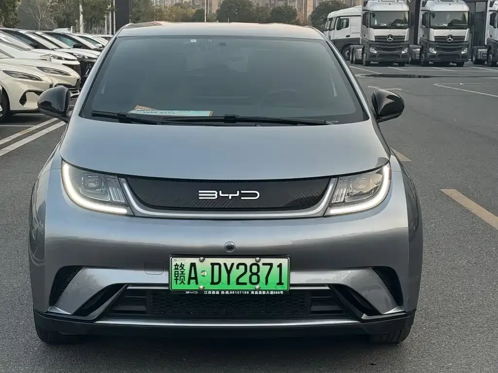 BYD Dolphin 2024 из CN, фото 1