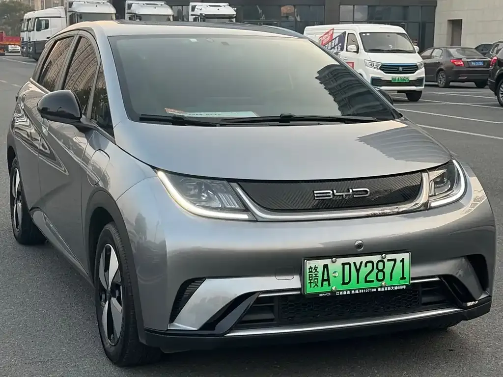 BYD Dolphin 2024 из CN, фото 2