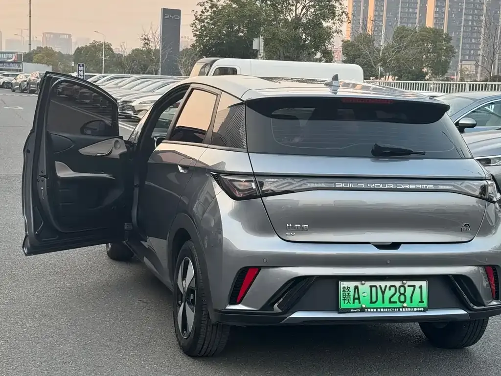 BYD Dolphin 2024 из CN, фото 5