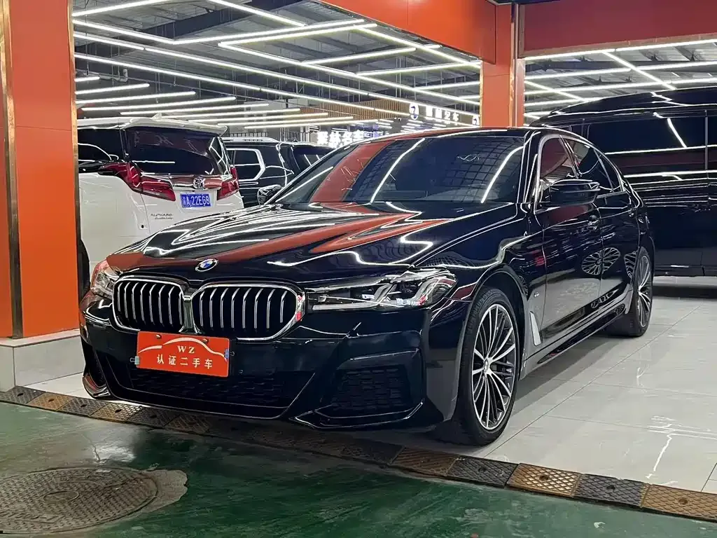 BMW 5 Series 2022 из CN, фото 1