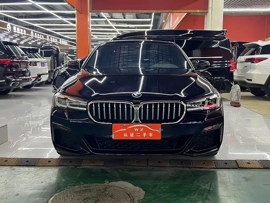 BMW 5 Series 2022 из CN, фото 2