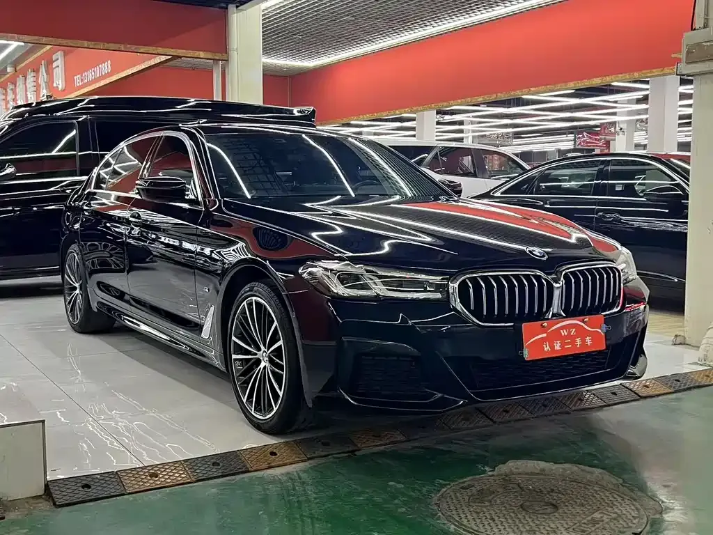 BMW 5 Series 2022 из CN, фото 3