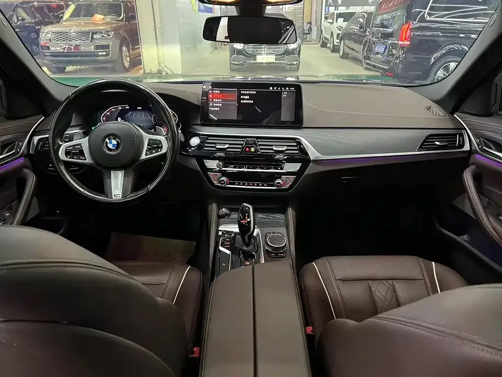 BMW 5 Series 2022 из CN, фото 5