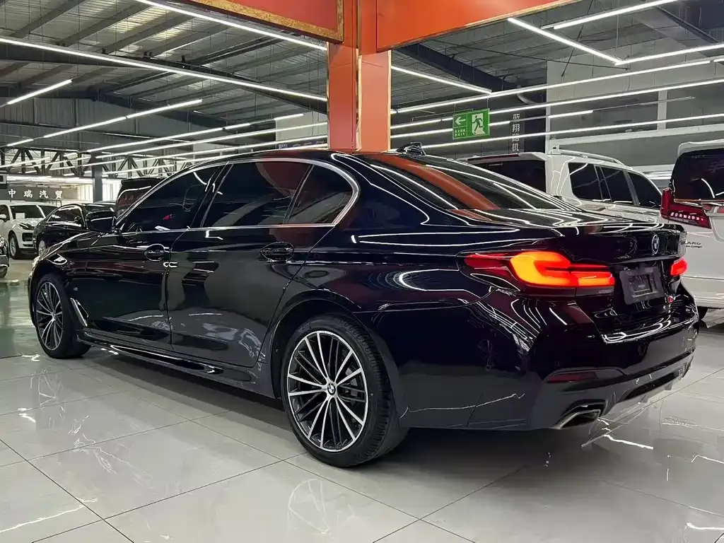 BMW 5 Series 2022 из CN, фото 7