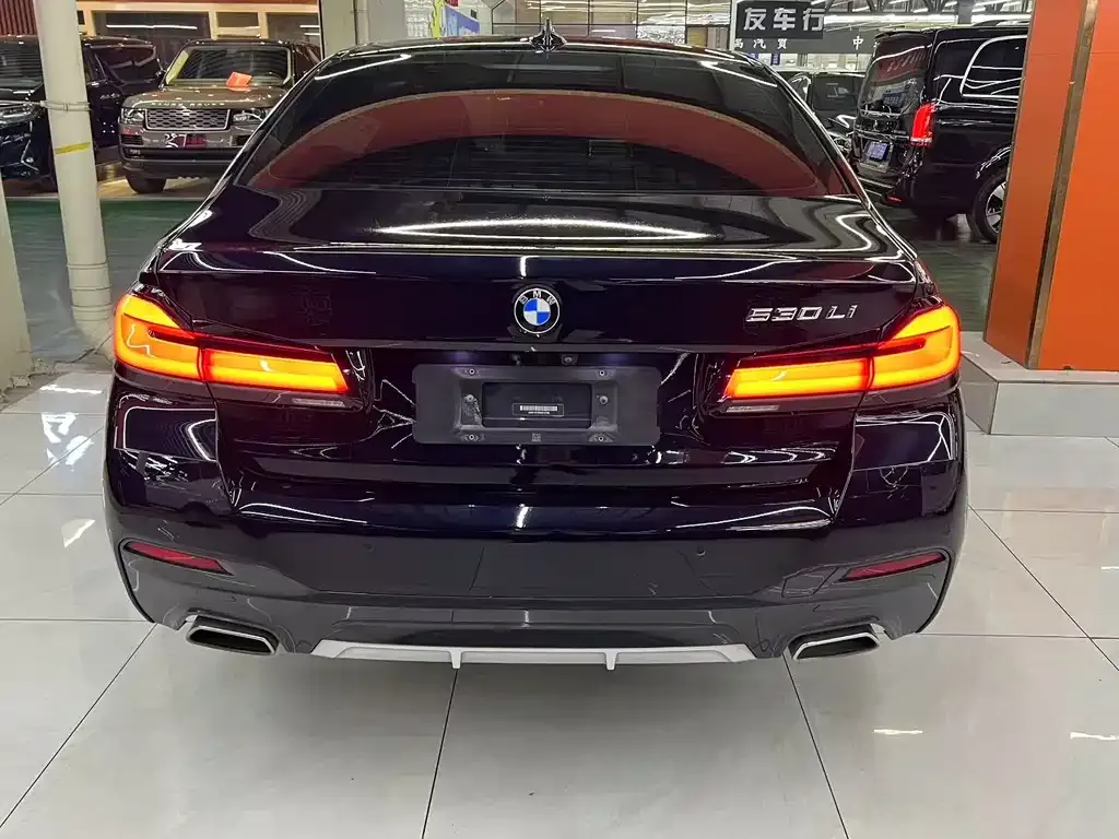 BMW 5 Series 2022 из CN, фото 8