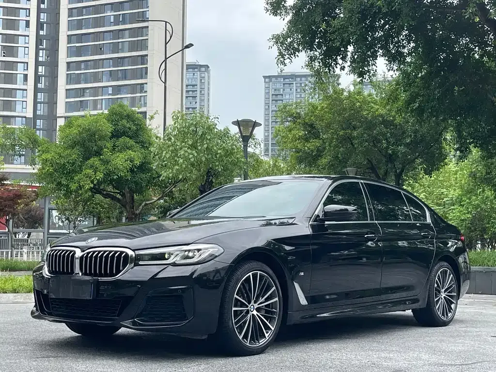 BMW 5 Series 2023 из CN, фото 1