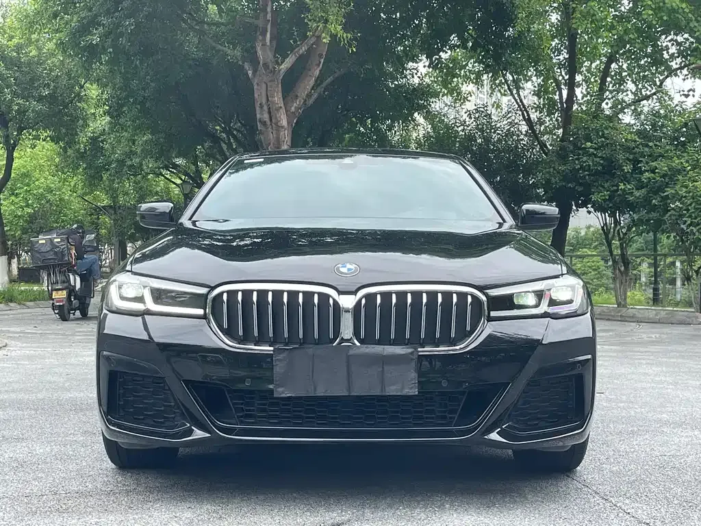 BMW 5 Series 2023 из CN, фото 2