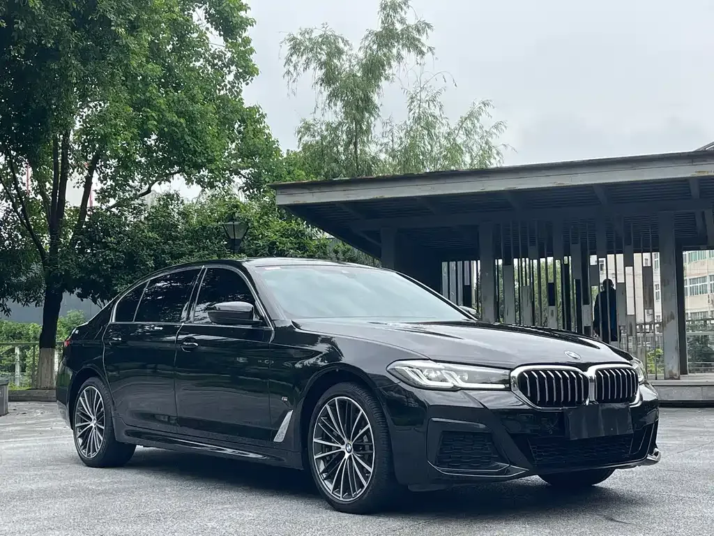BMW 5 Series 2023 из CN, фото 3