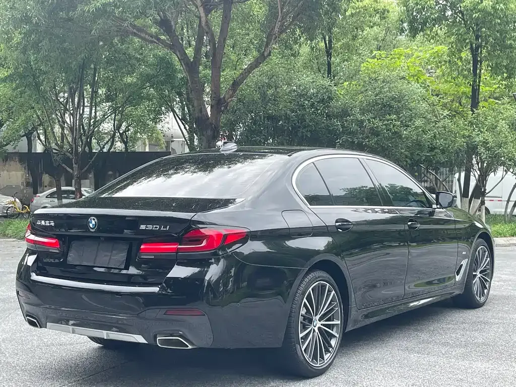 BMW 5 Series 2023 из CN, фото 4