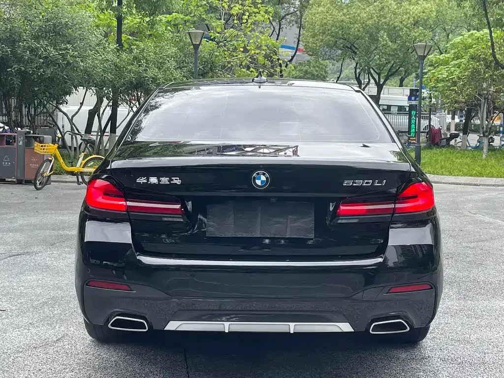 BMW 5 Series 2023 из CN, фото 5