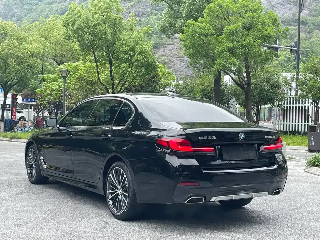 BMW 5 Series 2023 из CN, фото 6