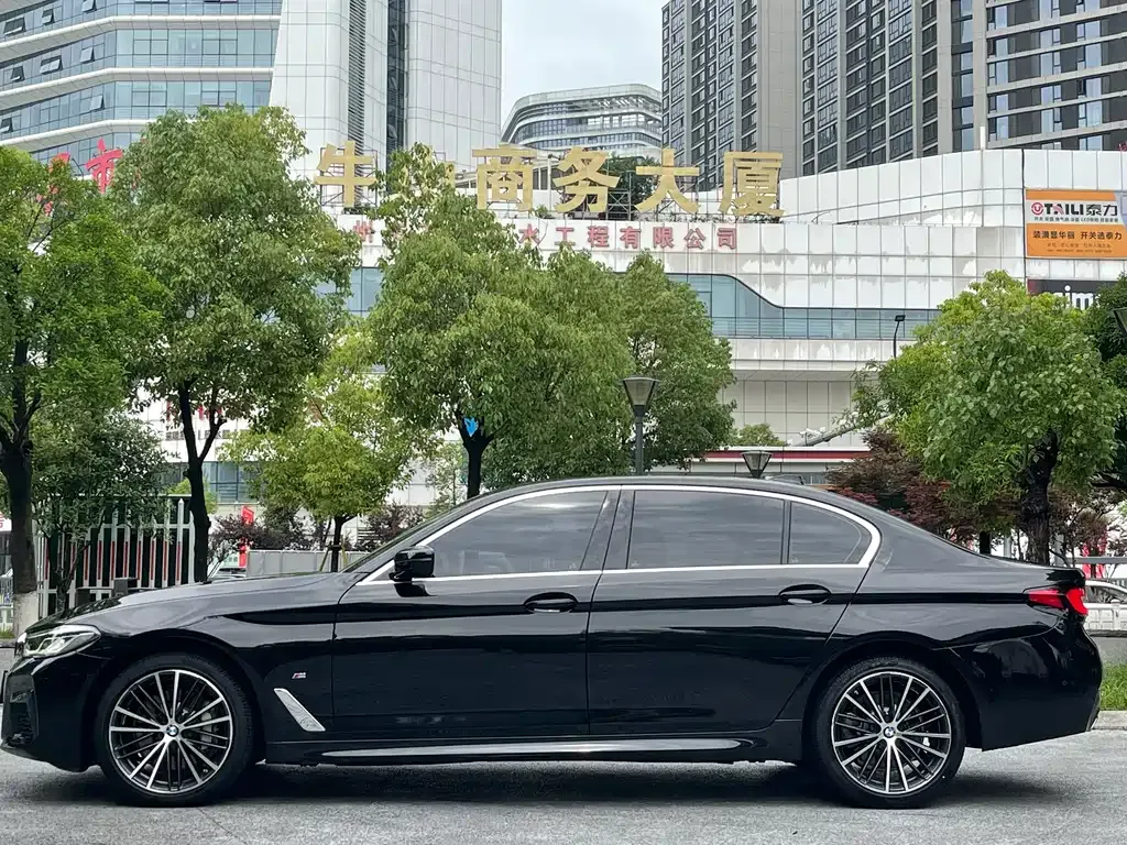 BMW 5 Series 2023 из CN, фото 7