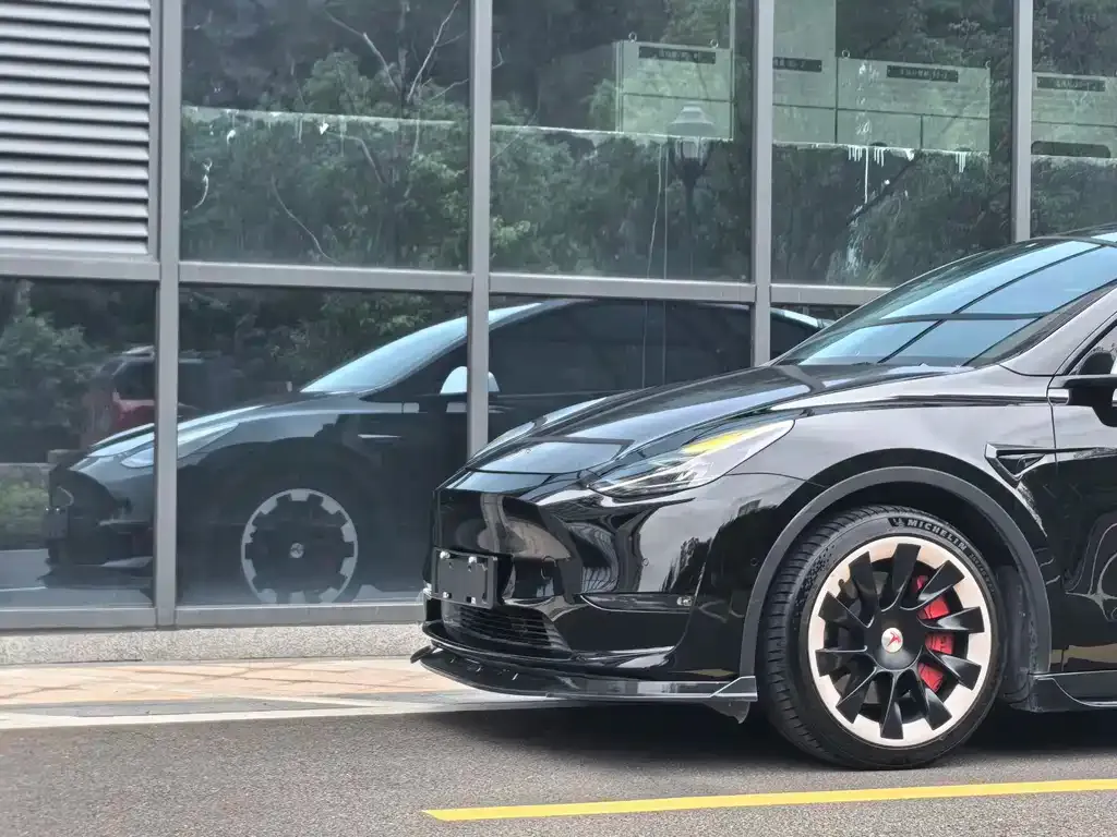Tesla Model Y 2021 из CN, фото 10