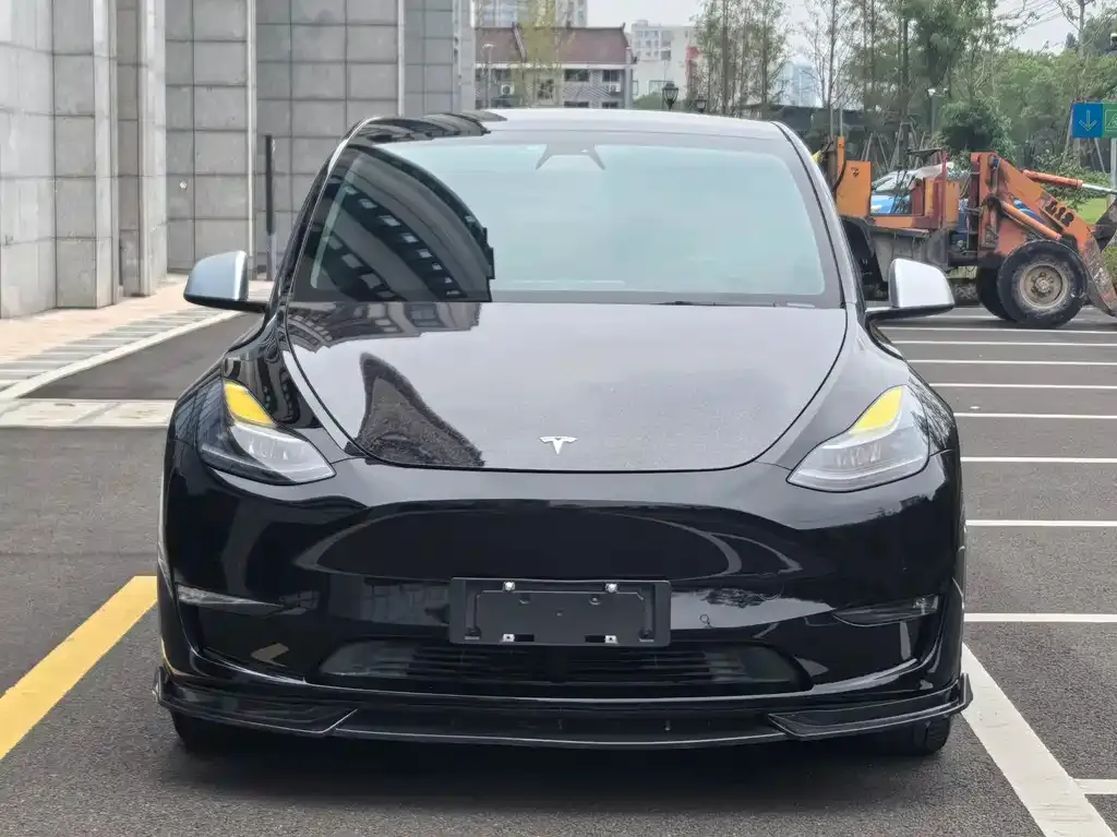 Tesla Model Y 2021 из CN, фото 2