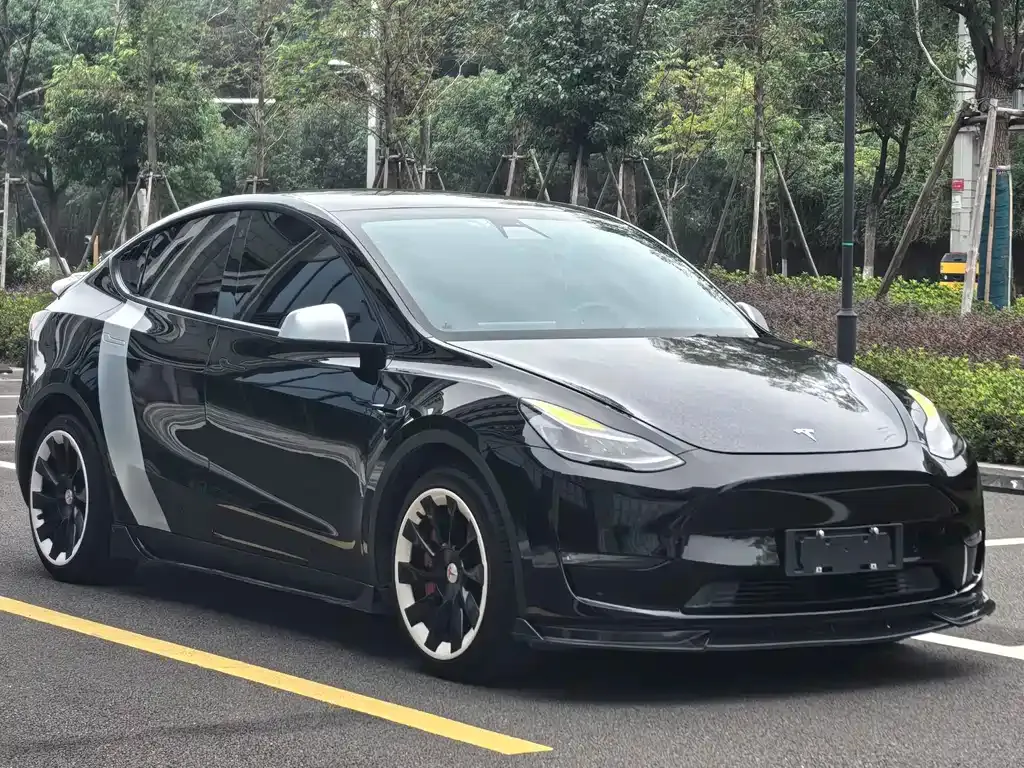 Tesla Model Y 2021 из CN, фото 3