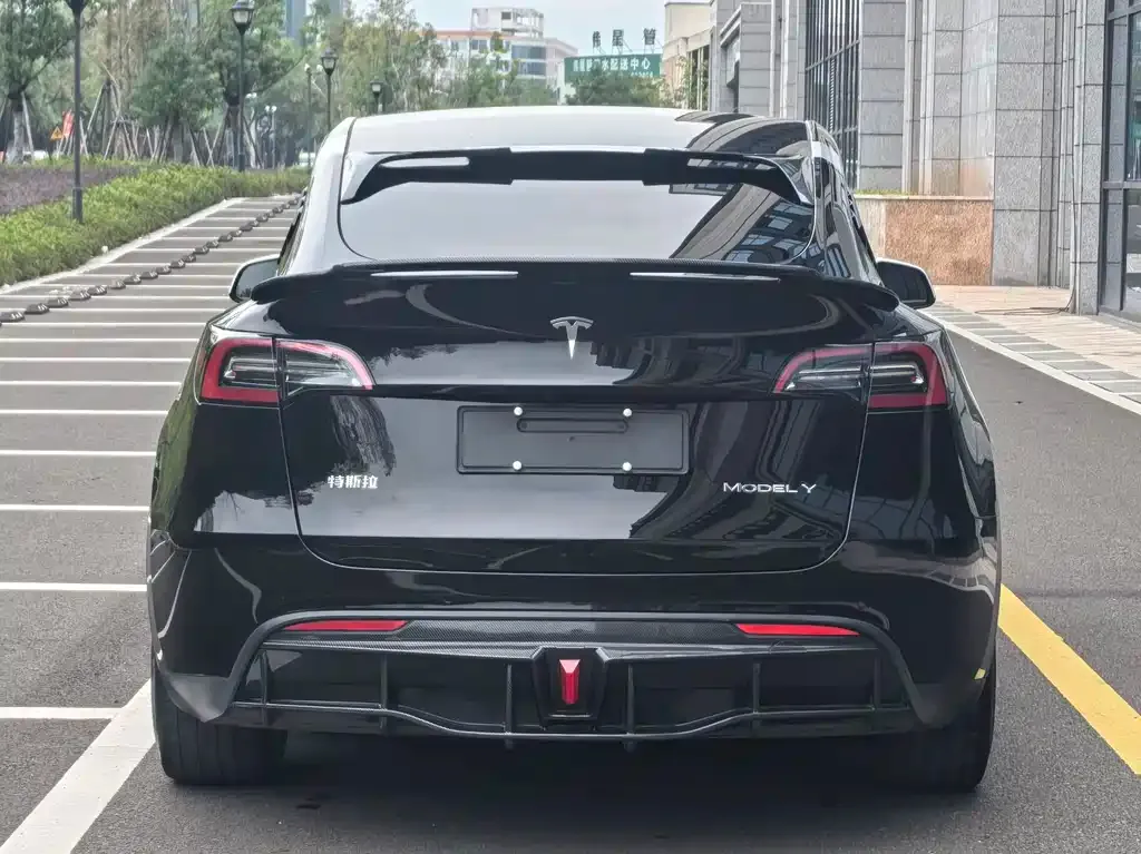 Tesla Model Y 2021 из CN, фото 5