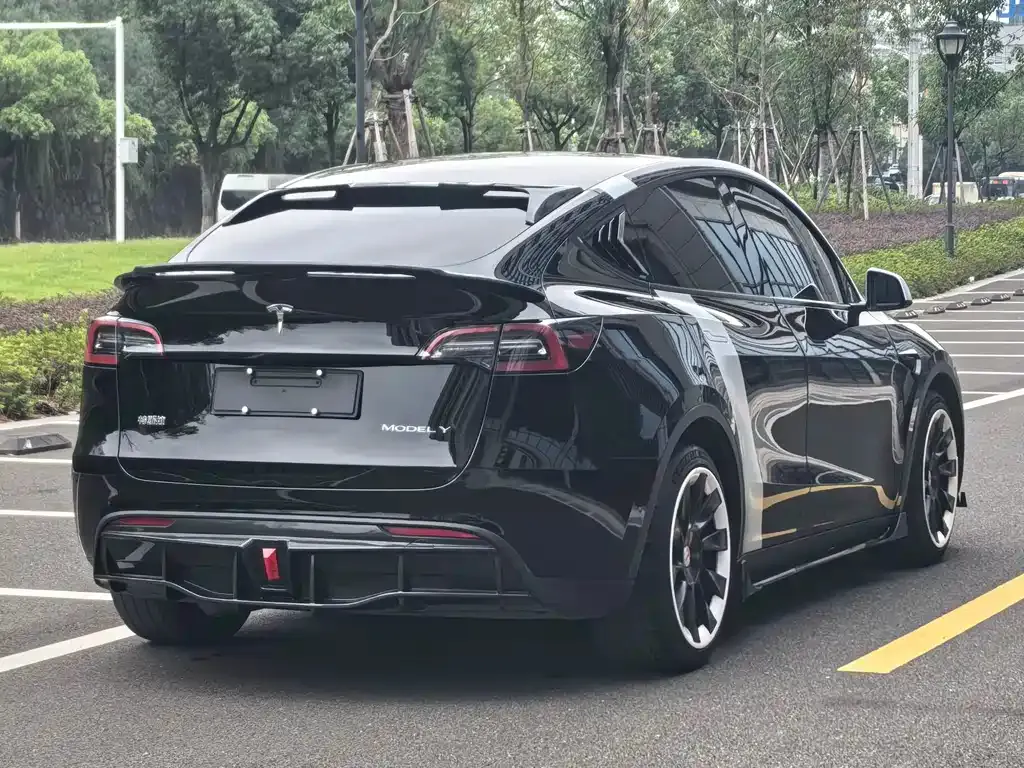 Tesla Model Y 2021 из CN, фото 6