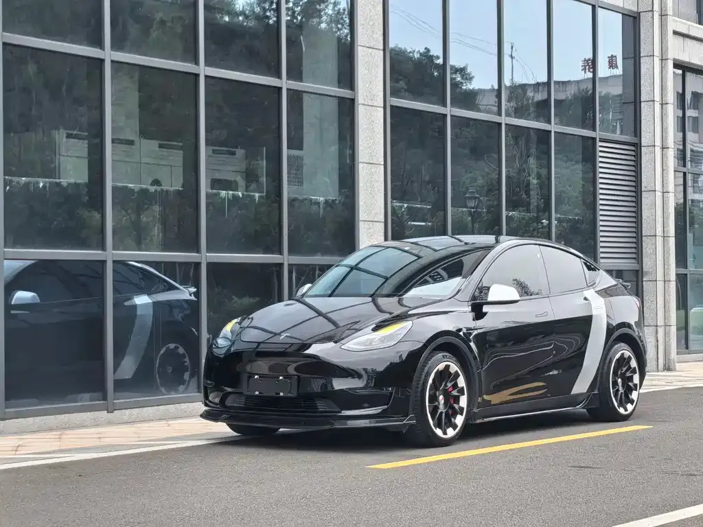 Tesla Model Y 2021 из CN, фото 7
