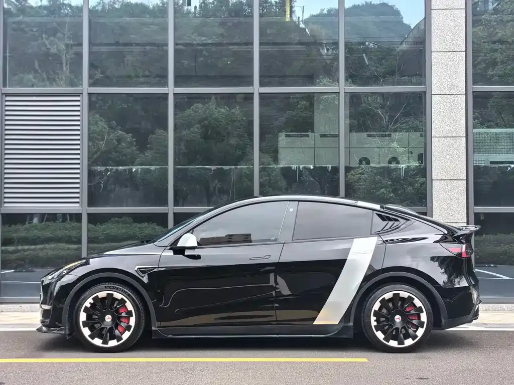 Tesla Model Y 2021 из CN, фото 8