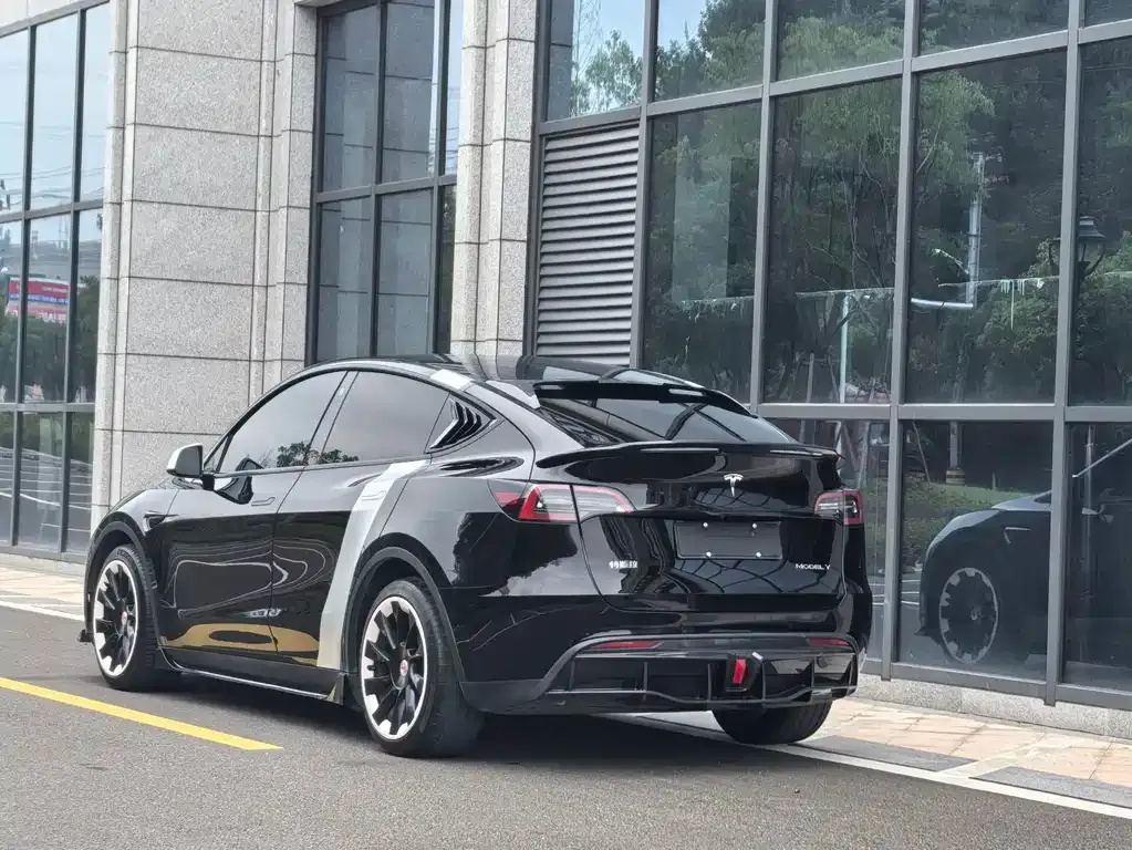 Tesla Model Y 2021 из CN, фото 9