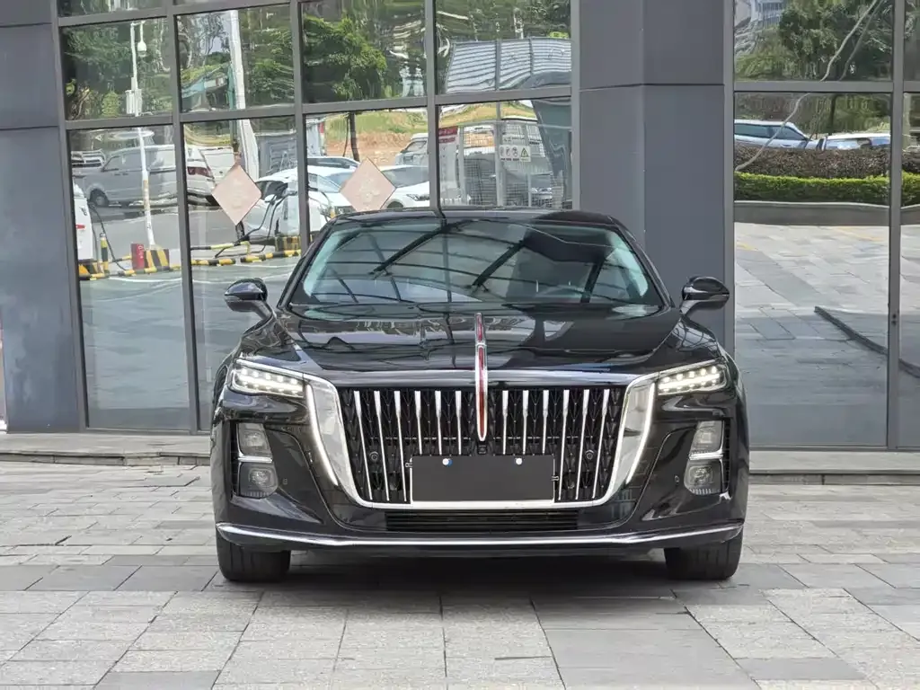 Hongqi H5 2024 из CN, фото 2