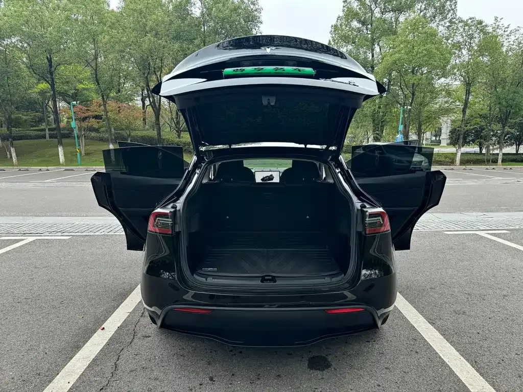 Tesla Model Y — фото 10