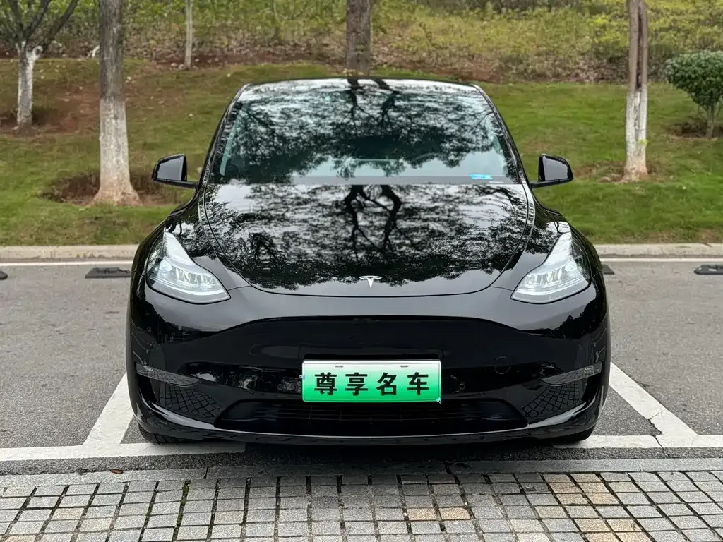 Tesla Model Y — фото 2