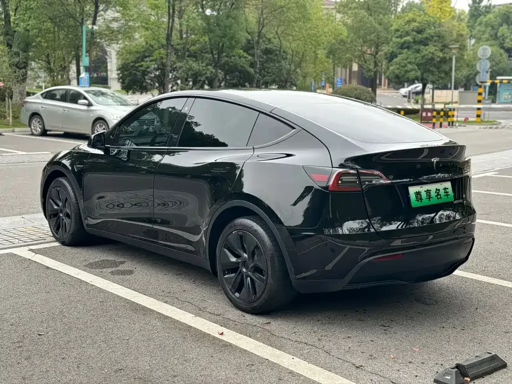 Tesla Model Y — фото 5