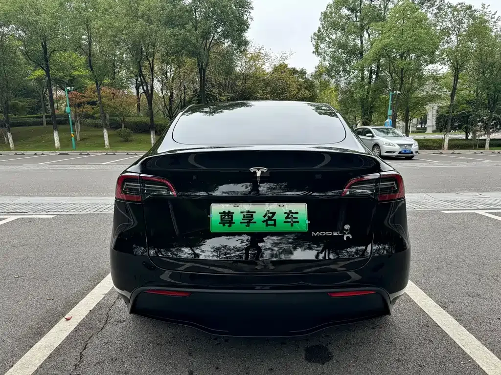 Tesla Model Y — фото 6