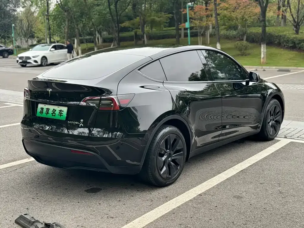 Tesla Model Y — фото 7