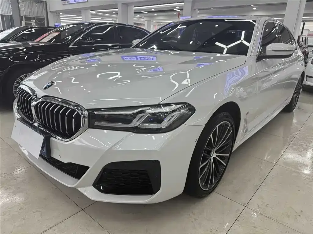 BMW 5 Series 2023 из CN, фото 2