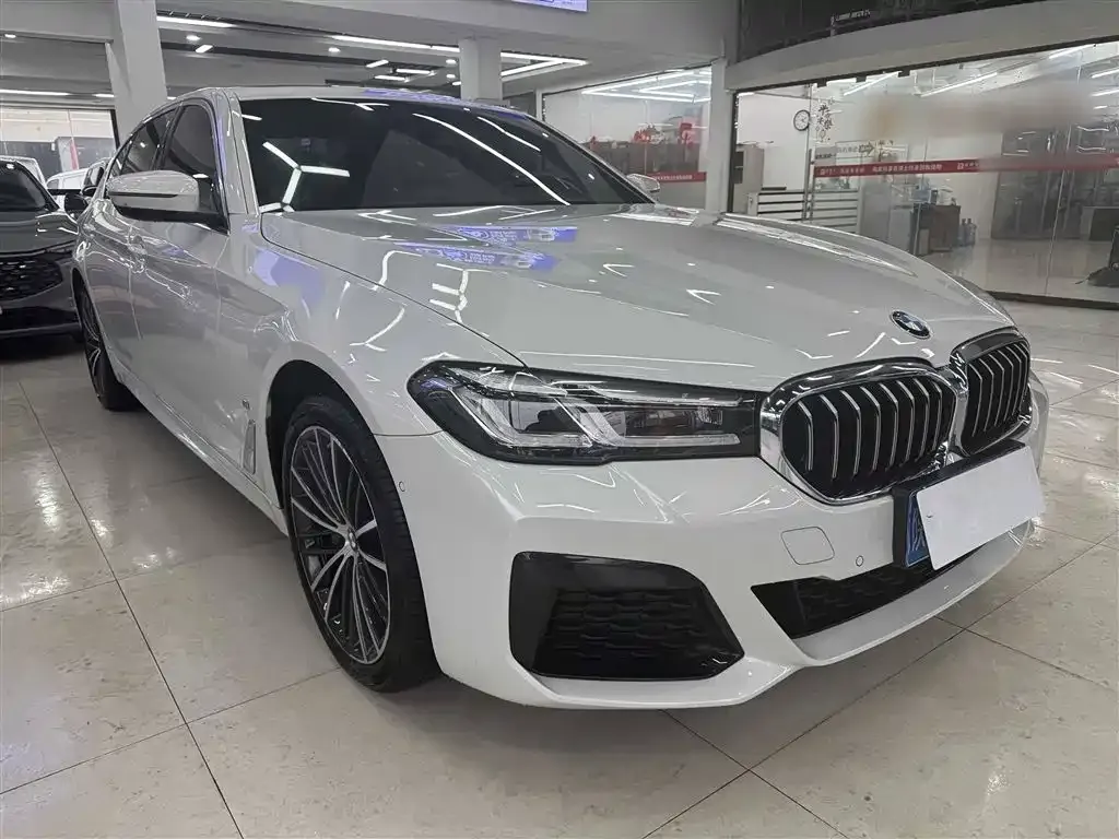BMW 5 Series 2023 из CN, фото 5