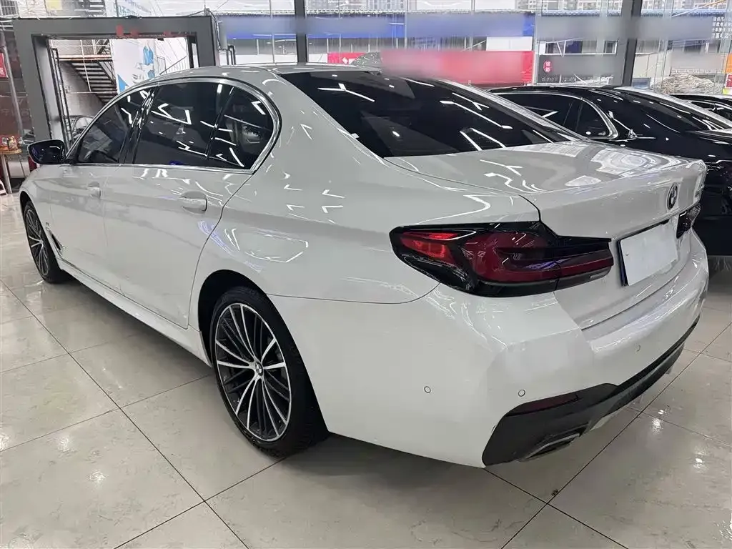 BMW 5 Series 2023 из CN, фото 6
