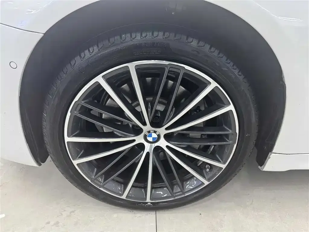 BMW 5 Series 2023 из CN, фото 8