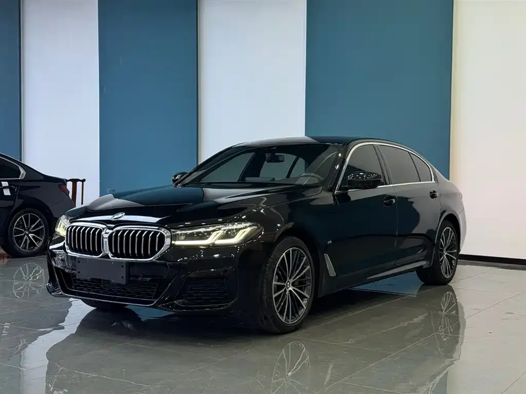 BMW 5 Series 2021 из CN, фото 1