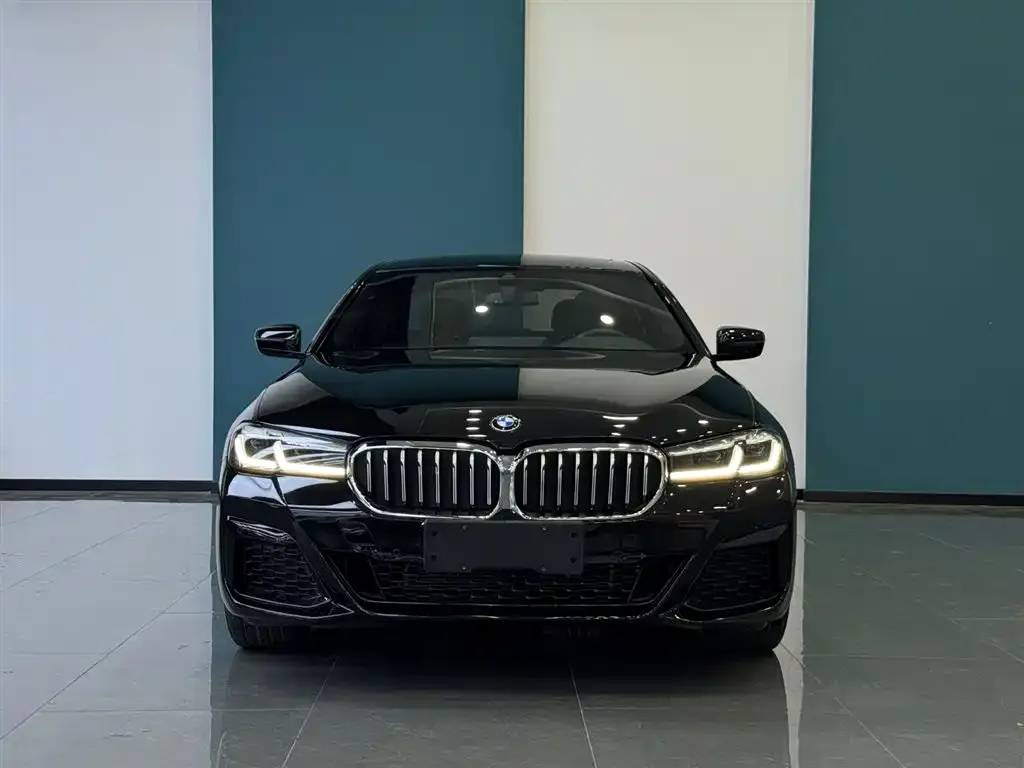 BMW 5 Series 2021 из CN, фото 2