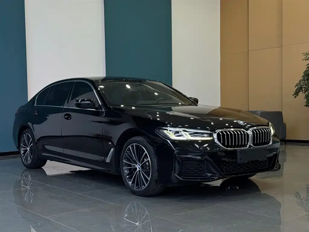 BMW 5 Series 2021 из CN, фото 3