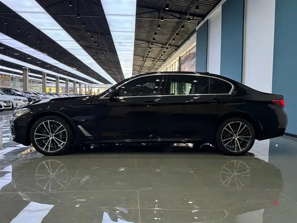 BMW 5 Series 2021 из CN, фото 4