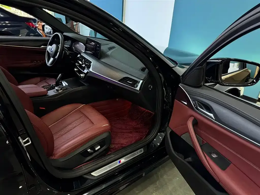 BMW 5 Series 2021 из CN, фото 9
